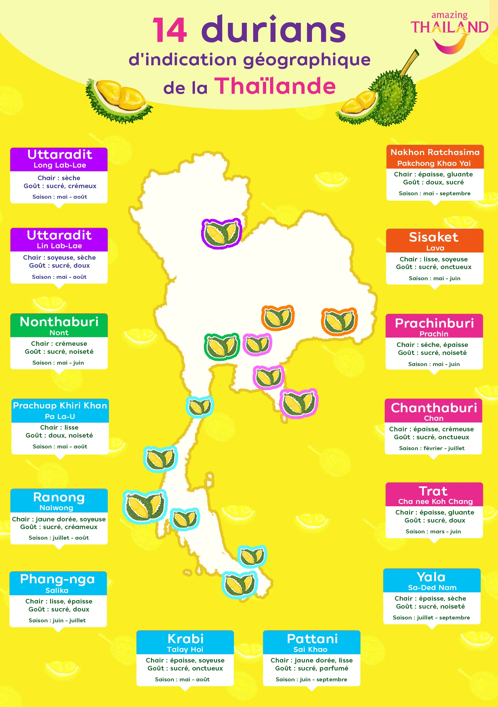 Carte IGP des 14 variétés de Durian en Thaïlande