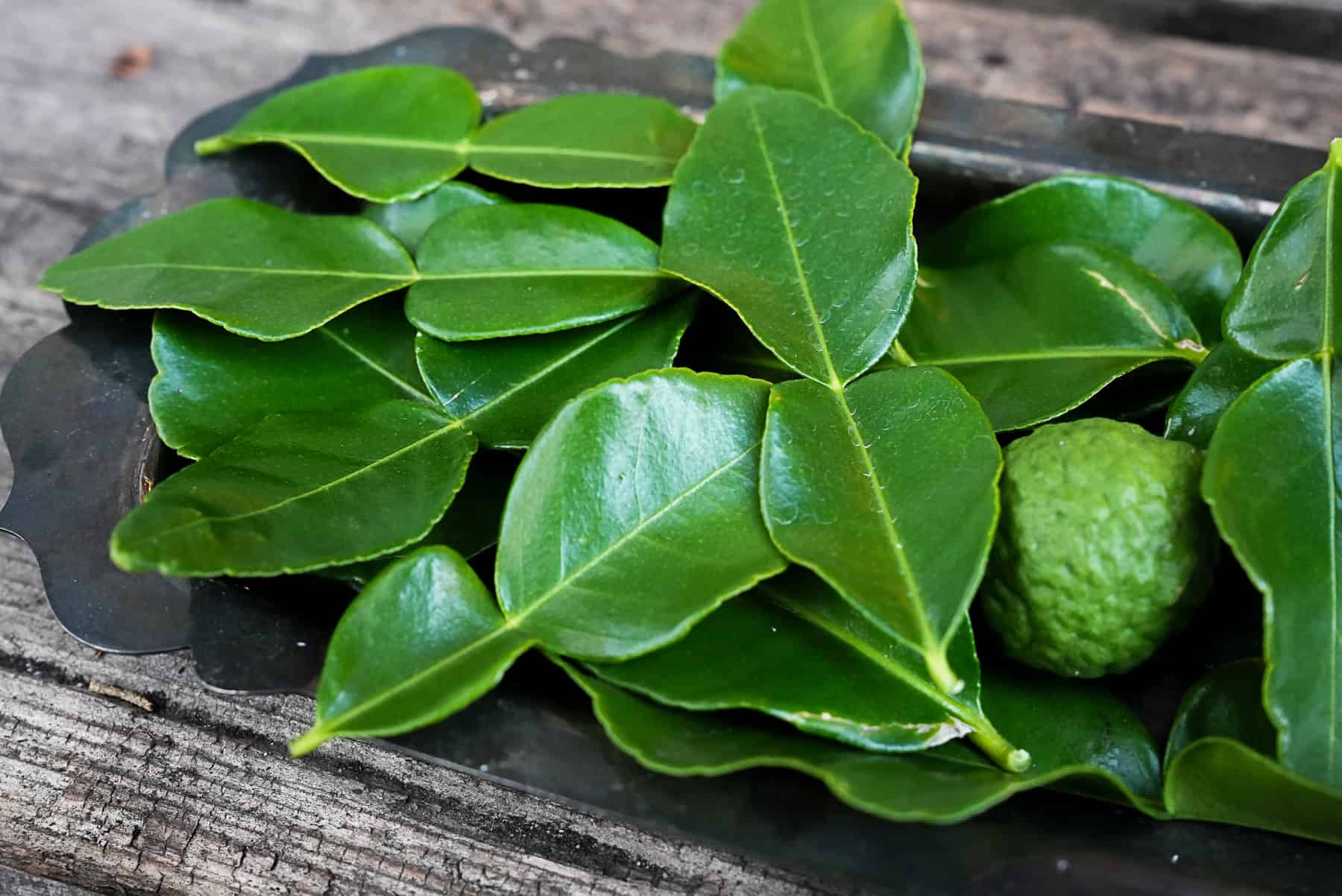 Bai Makrut (Kaffir Lime Leaves)