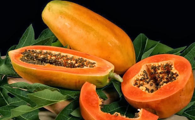 Papaya