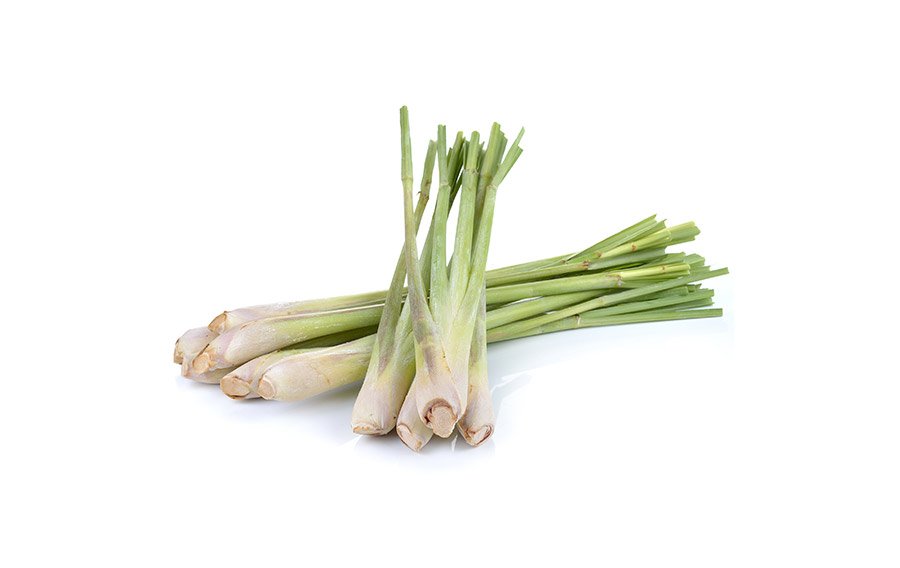 Takrai (Citronnelle)