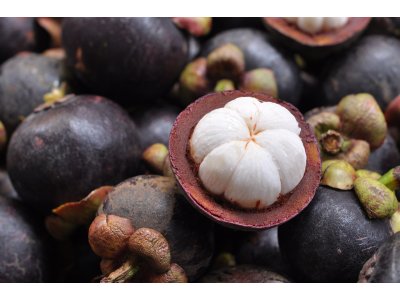 Mangosteen