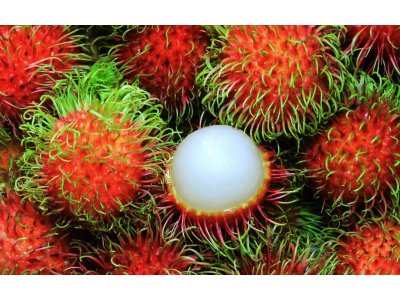 Rambutan
